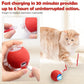 Interactive Self-Rolling Cat Toy