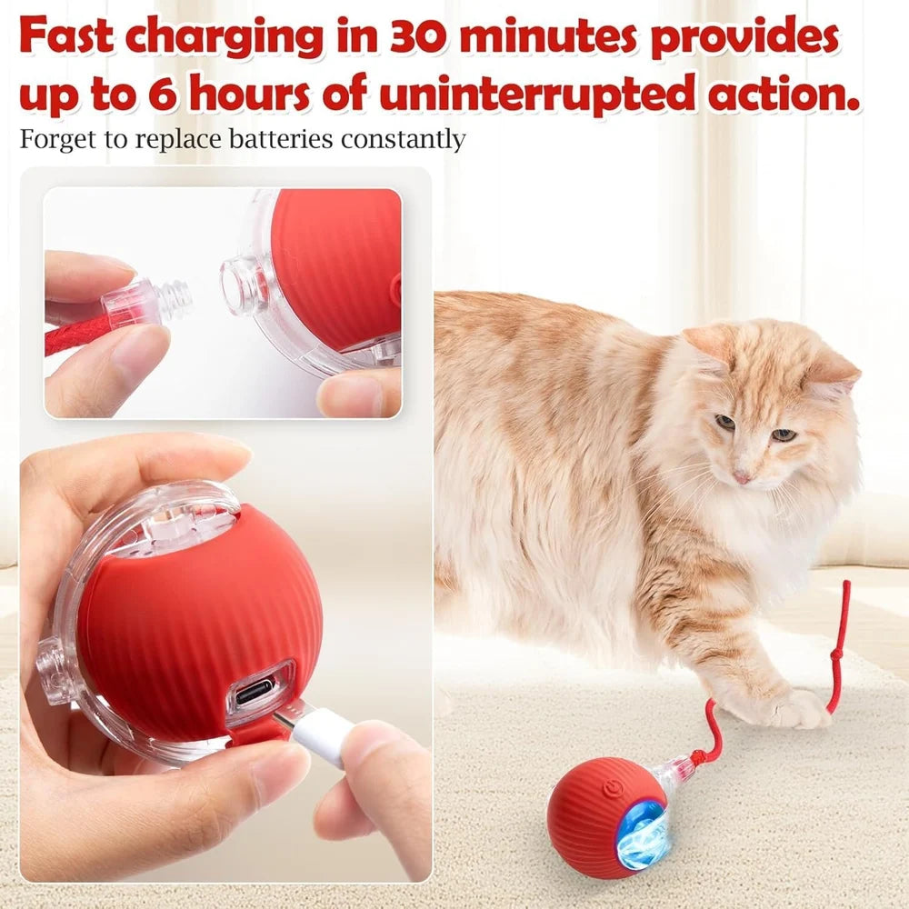 Interactive Self-Rolling Cat Toy