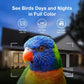 Smart Bird Feeder With Ultra HD Camera
