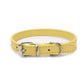 Collar Dog Chain