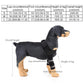 Dog Knee Brace & Leg Protector for Fast Injury Recovery