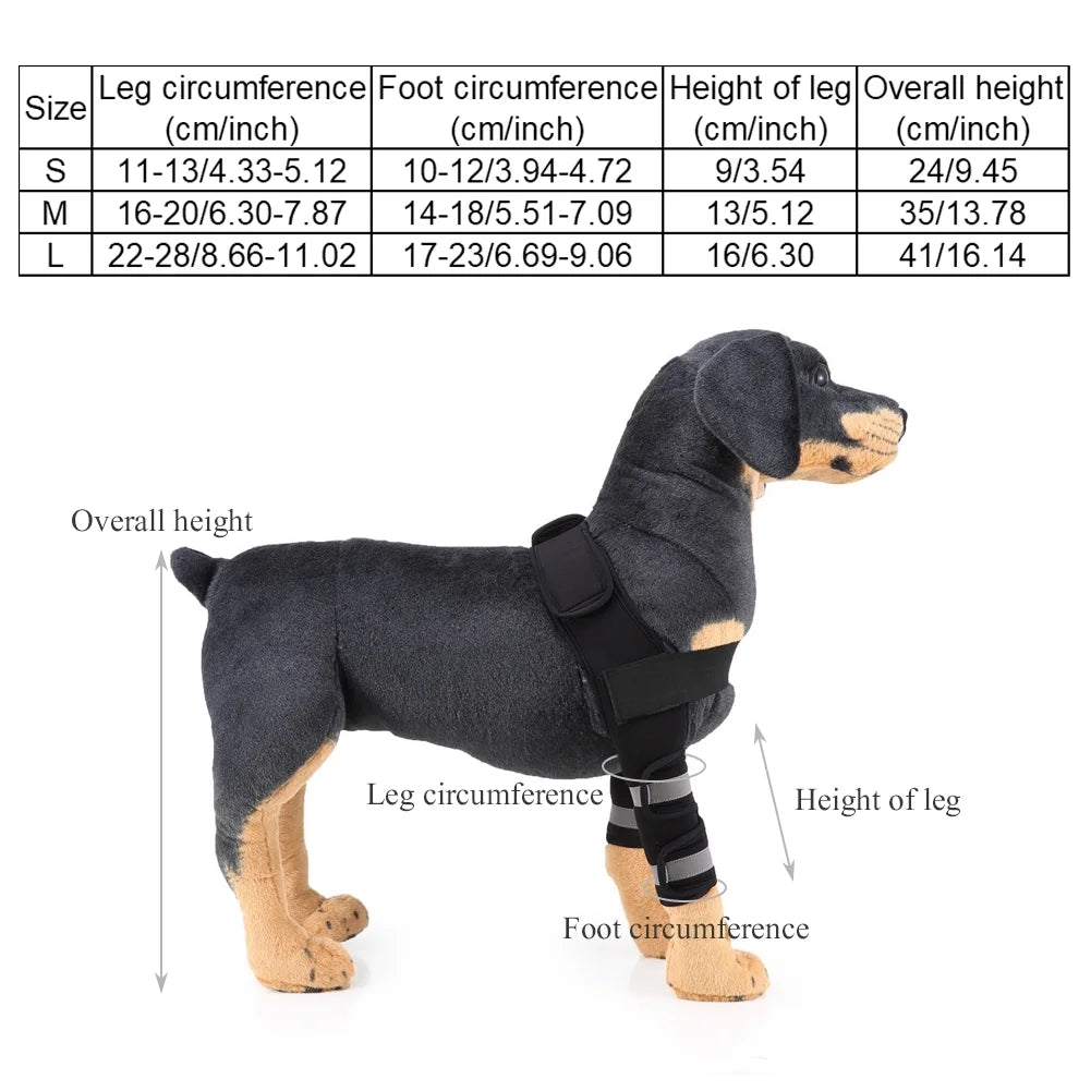 Dog Knee Brace & Leg Protector for Fast Injury Recovery