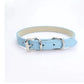 Collar Dog Chain
