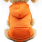 Winter Dog Hoodie