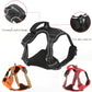 Pet Harness Vest