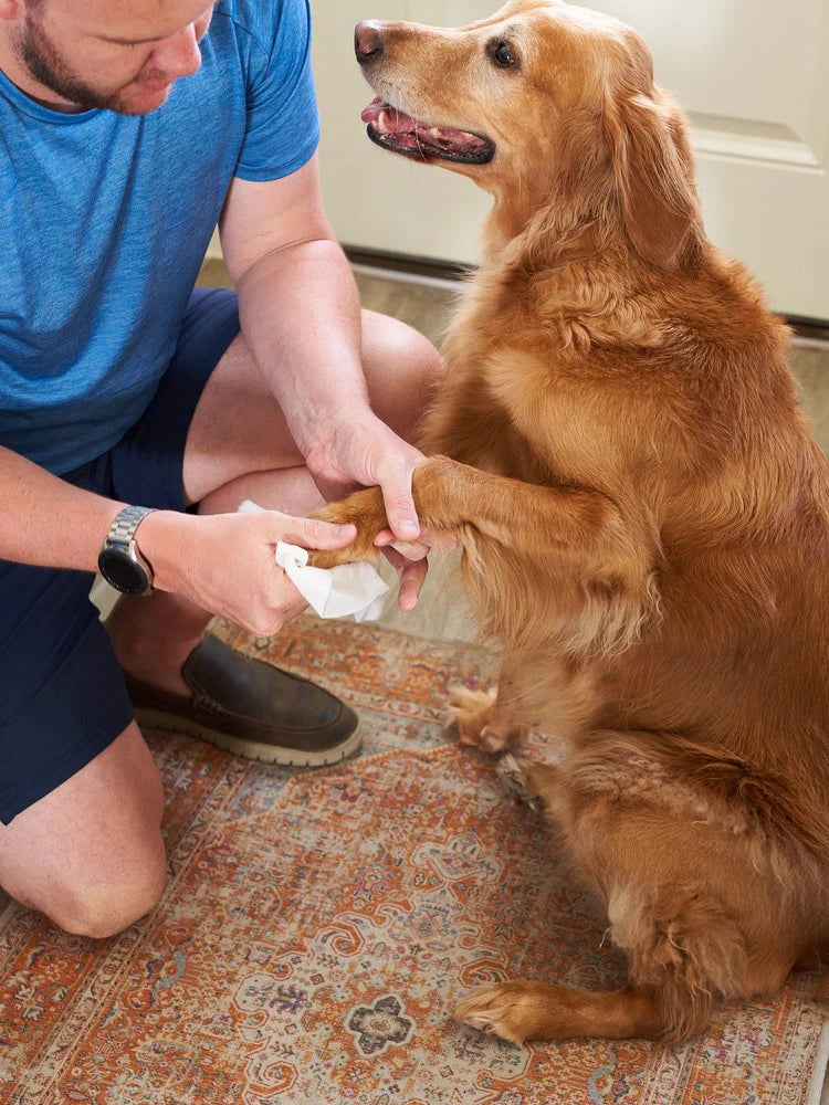 Pet WiPees Dog Allergy Natural Wipes