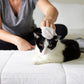 Pet WiPees Cat All Purpose + Skin & Coat