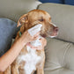 Pet WiPees Dog All Purpose + Skin & Coat