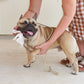 Pet WiPees Dog All Purpose + Skin & Coat