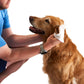 Pet WiPees Dog All Purpose + Skin & Coat