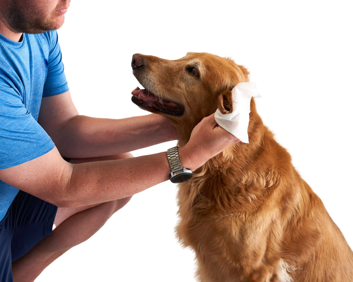 Pet WiPees Dog All Purpose + Skin & Coat