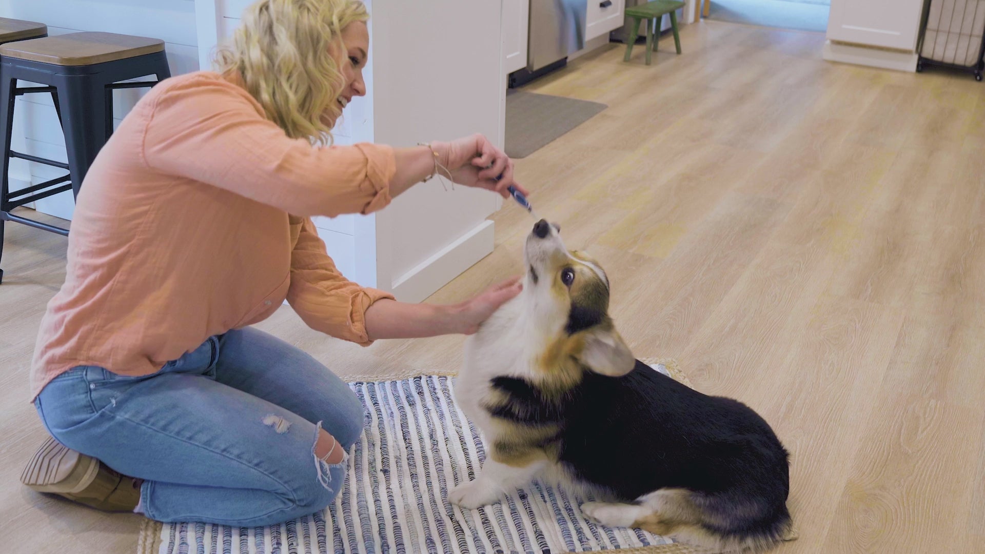 Oxyfresh Durable Dental Chew Toy