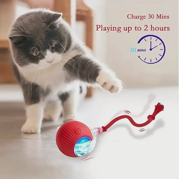 Interactive Self-Rolling Cat Toy