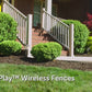 PetSafe Wireless Pet Fence with Replaceable Battery Collar