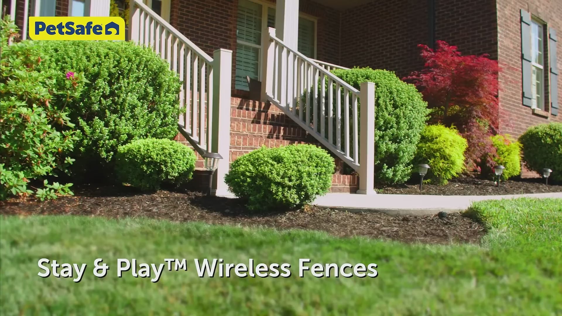 PetSafe Wireless Pet Fence with Replaceable Battery Collar