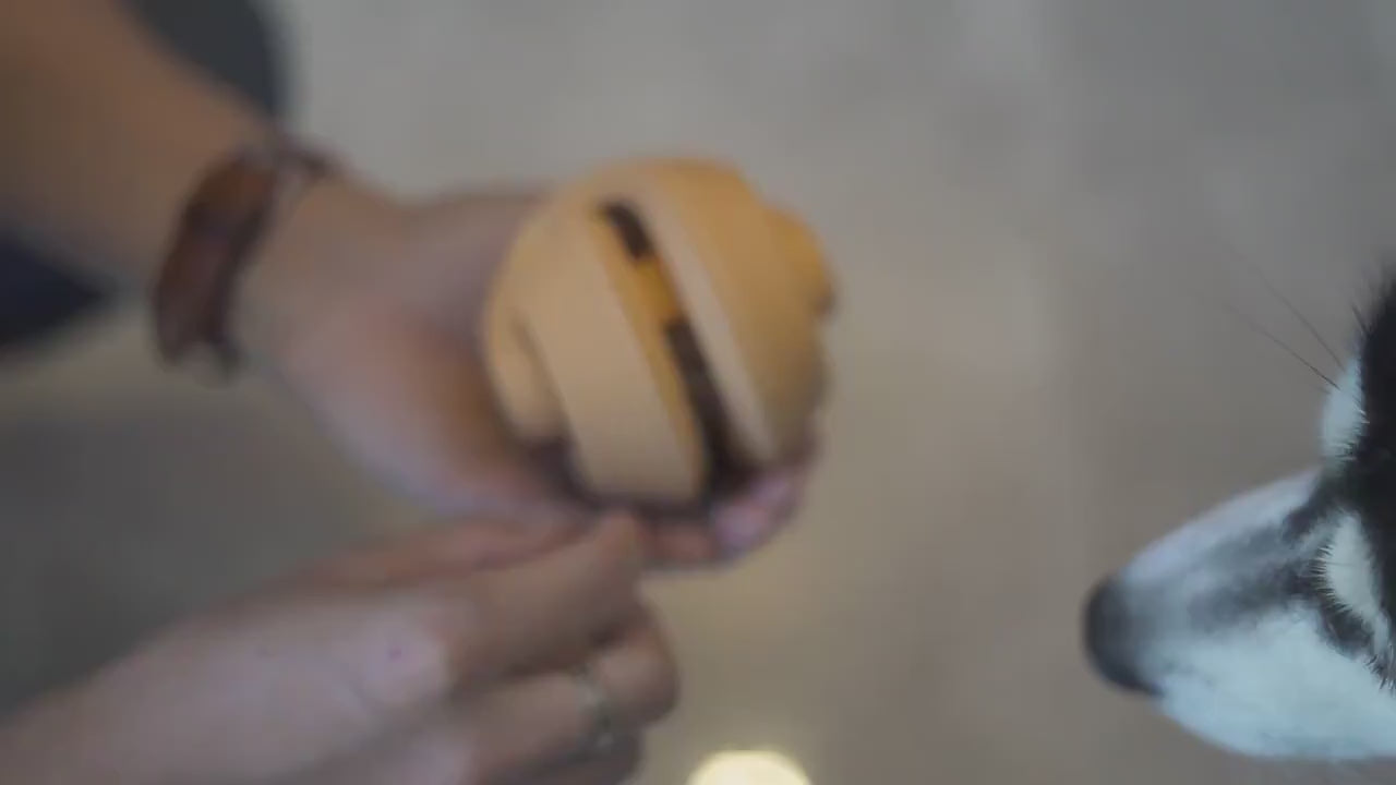 Bite-Resistant Dog Toy Ball for Teeth Cleaning