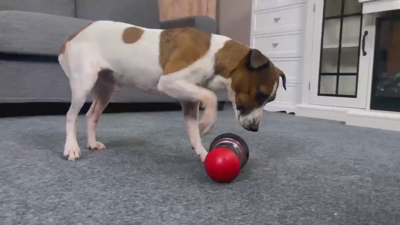 Interactive Slow Feeder Dog Toy