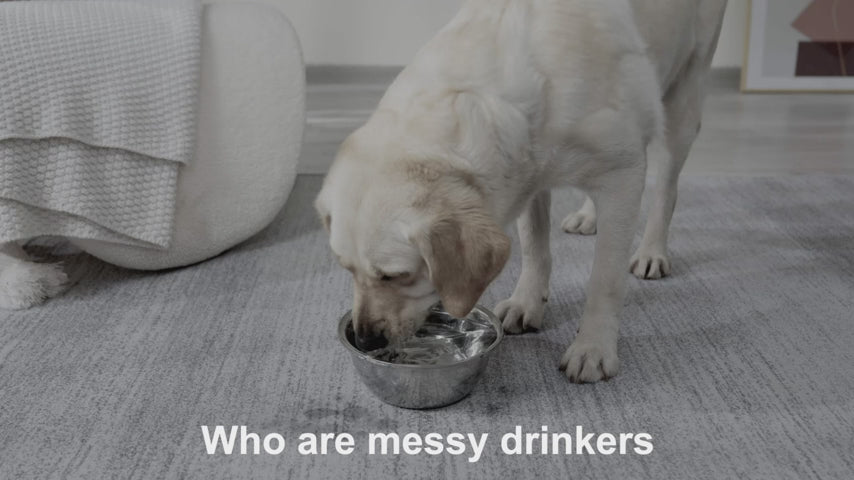 ELS Pet No Spill Slow Drinking Water Bowl