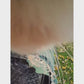 HD 1080P Pet Collar Camera
