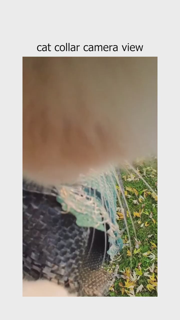 HD 1080P Pet Collar Camera