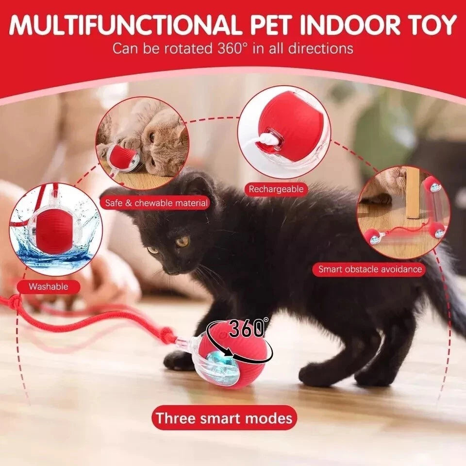 Interactive Self-Rolling Cat Toy