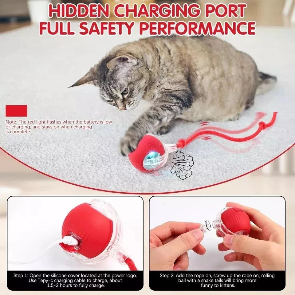 Interactive Self-Rolling Cat Toy
