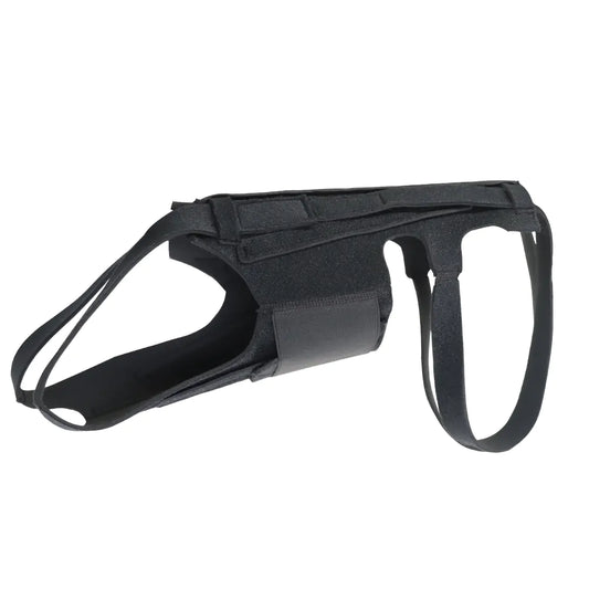 Dog Back Brace for IVDD, Arthritis, and Recovery