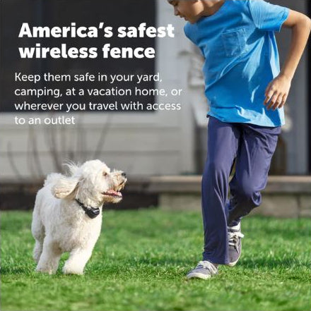 PetSafe Wireless Pet Fence with Replaceable Battery Collar