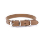 Collar Dog Chain