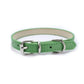 Collar Dog Chain