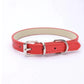 Collar Dog Chain