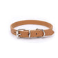 Collar Dog Chain